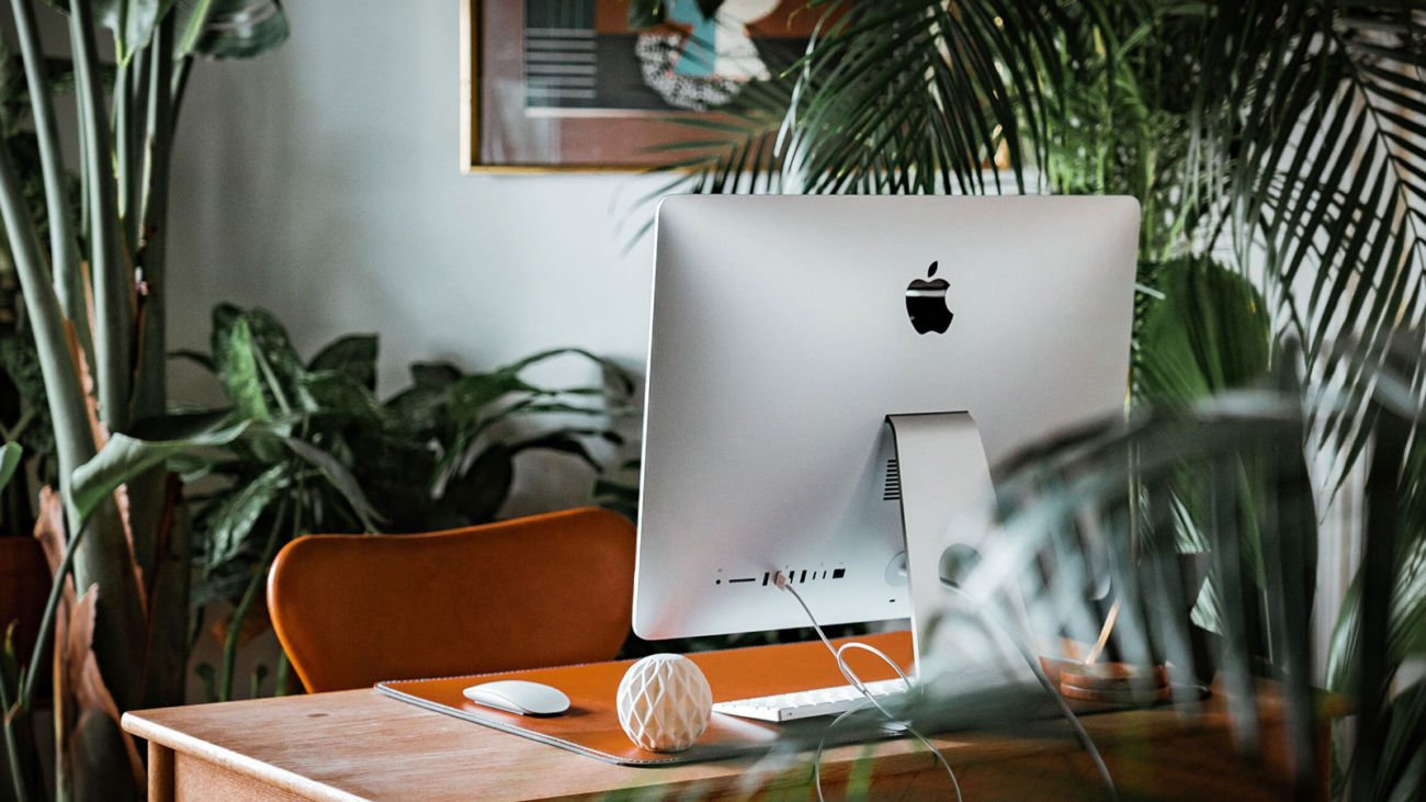 A mac computer on a desk at home surrounded by green plants