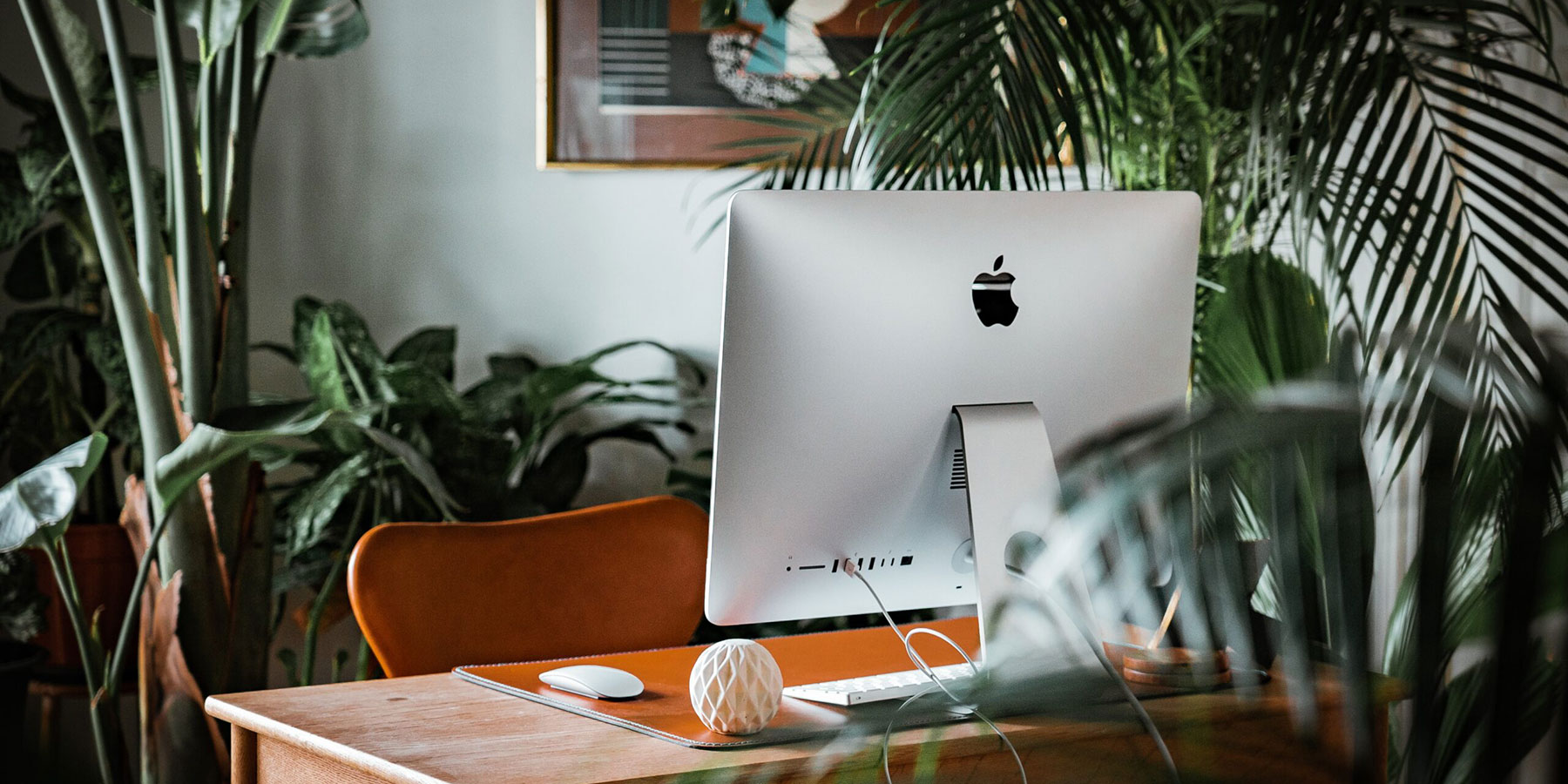 A mac computer on a desk at home surrounded by green plants