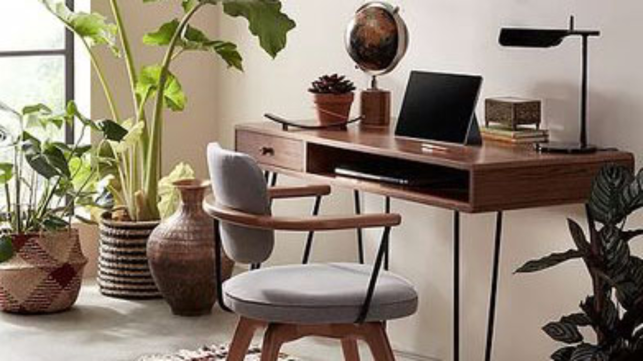 Workspace set up with desk, chair laptops and green plants