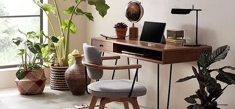 Workspace set up with desk, chair laptops and green plants