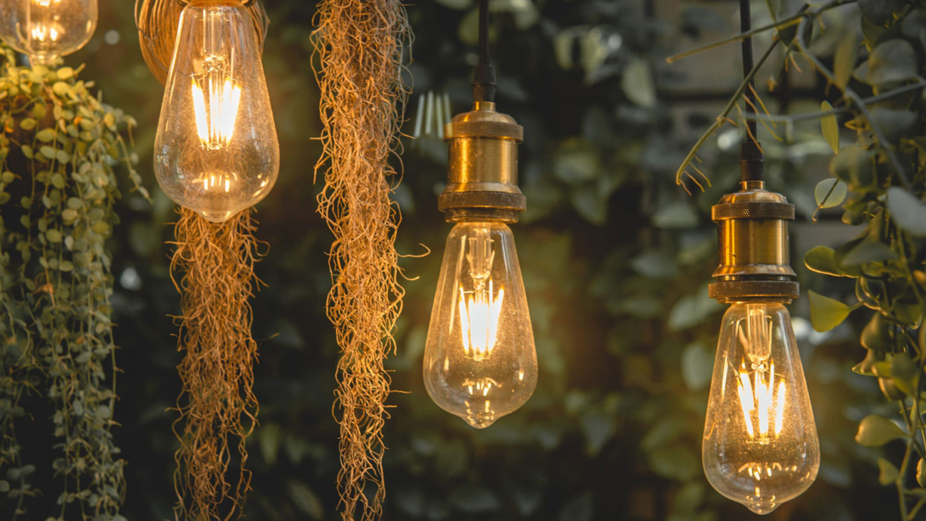 Oversized lightbulb garden hanging lights