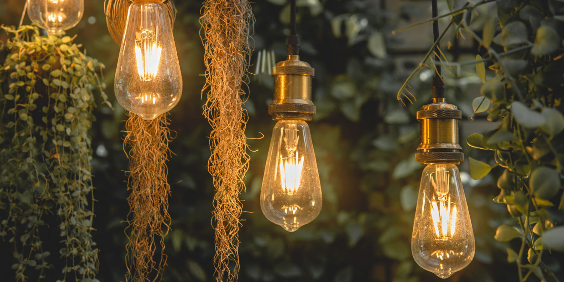 Oversized lightbulb garden hanging lights