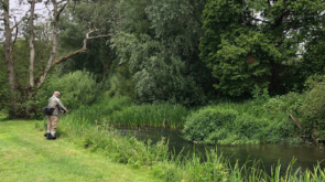 A man fishing at the side of the river