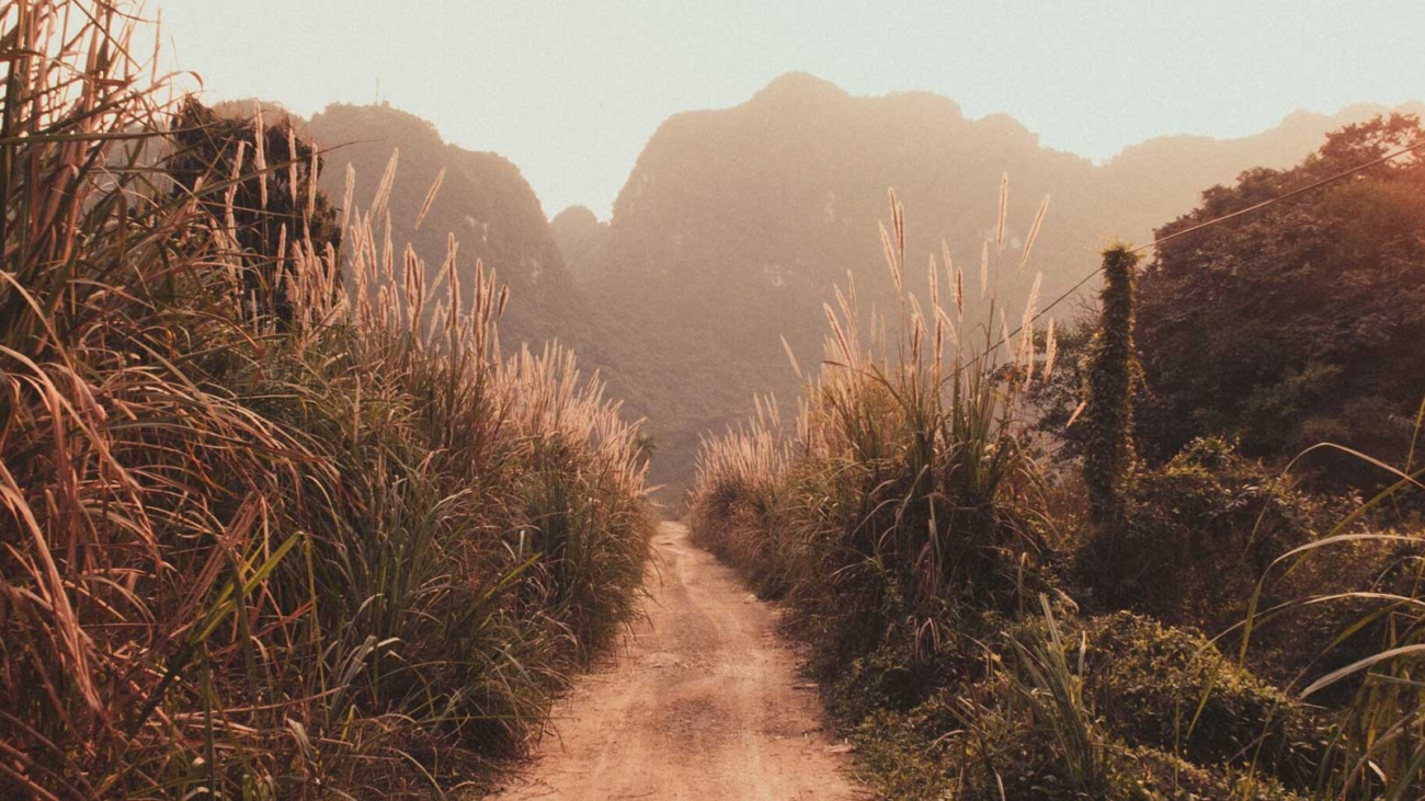 View of a path through fields leading to mountains in the distance