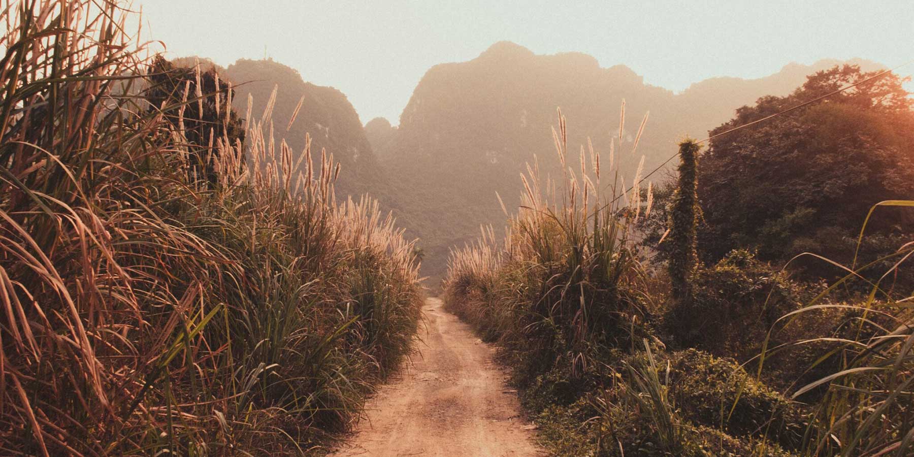 View of a path through fields leading to mountains in the distance