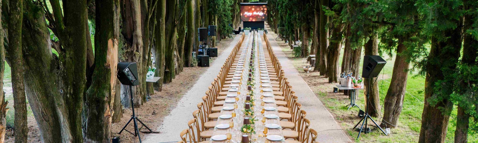 MW-lemon-table-set-up-banner