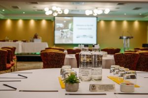 The Annual DIN Conference