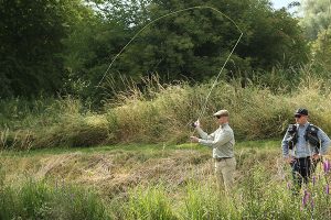 Annual Fly-Fishing Experience on the River Nadder