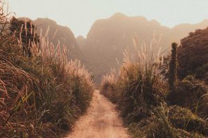 How To Show Great Leadership Through Events